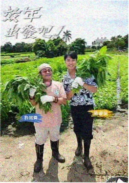 声生不息民歌季 音乐竞演综艺